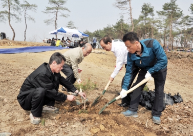 제69회 식목일 나무심기 행사 - 영순면