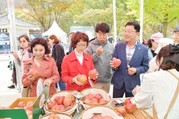 2023 문경사과축제