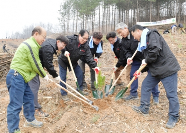 제74회 식목일 나무심기