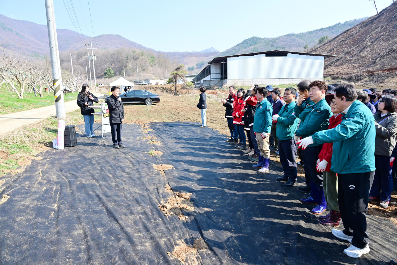 제81회 식목일기념 나무심기
